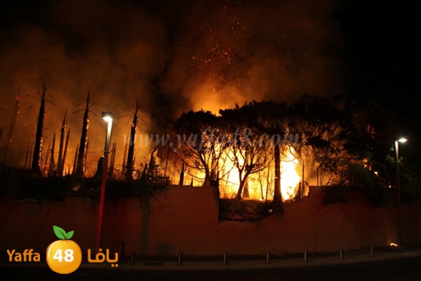 fire minas2 sterer (10).JPG